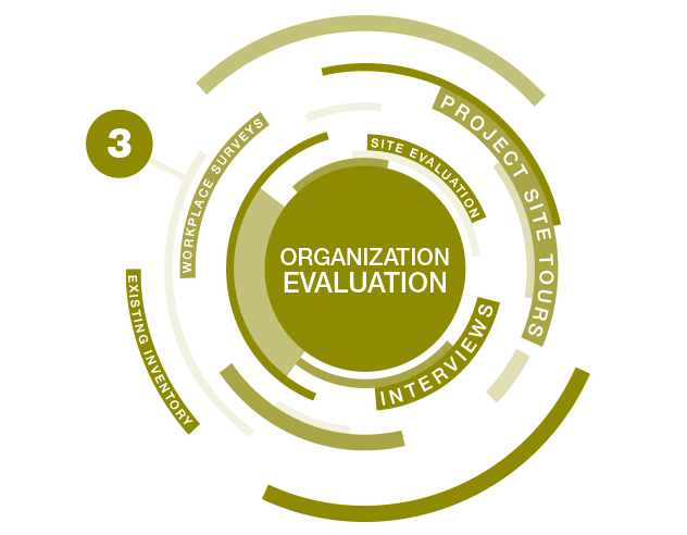 Organization Evaluation